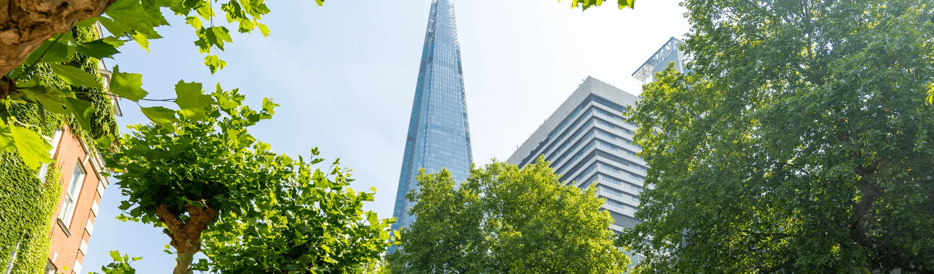 Outside Guy's Campus on a bright day, with a view of the Shard in the background framed by leafy trees.