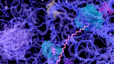 DNA transcription & regulation 780x450