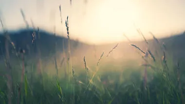 iStock-1322277517