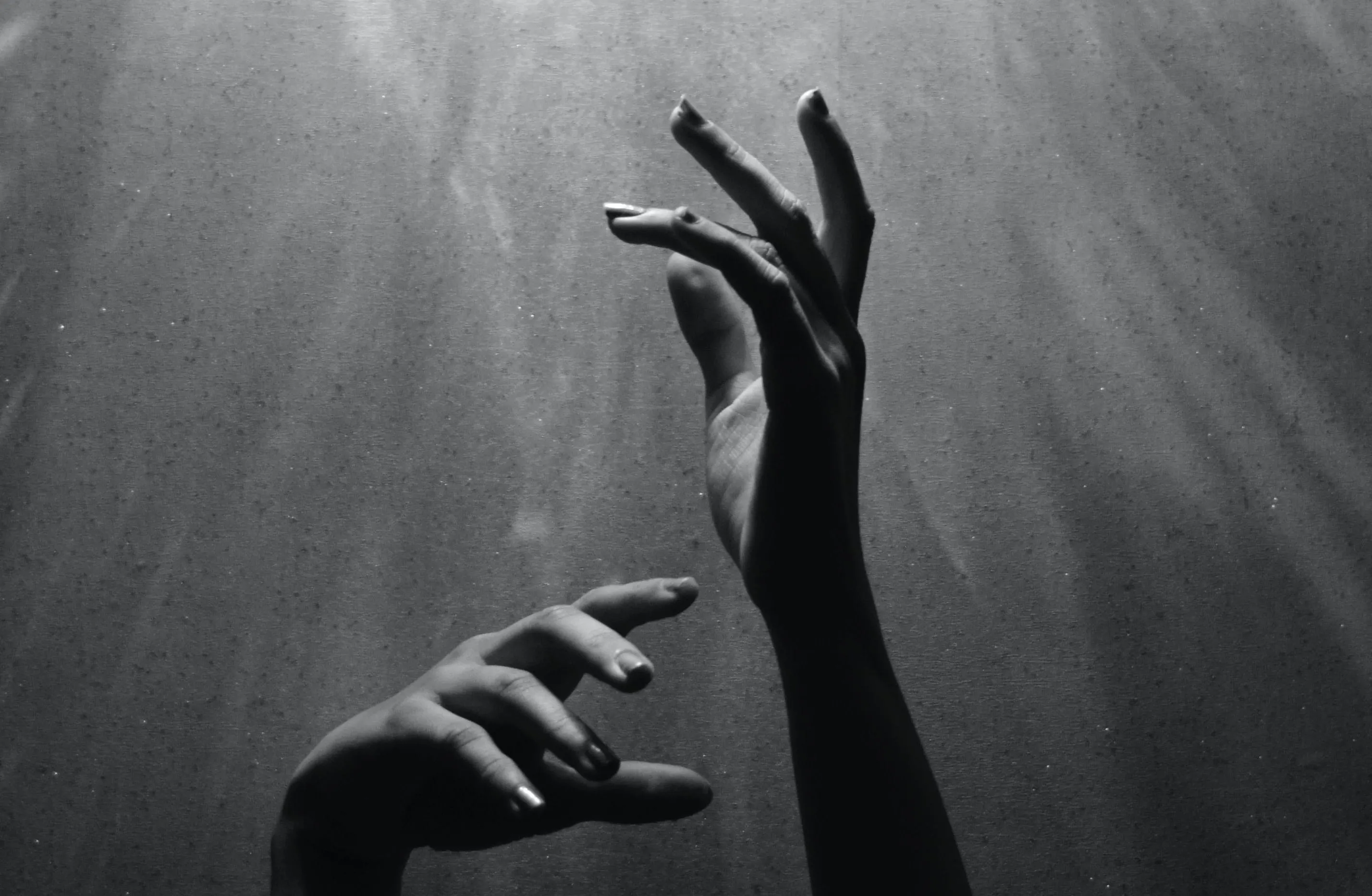 black and white image of two hands reaching for the light