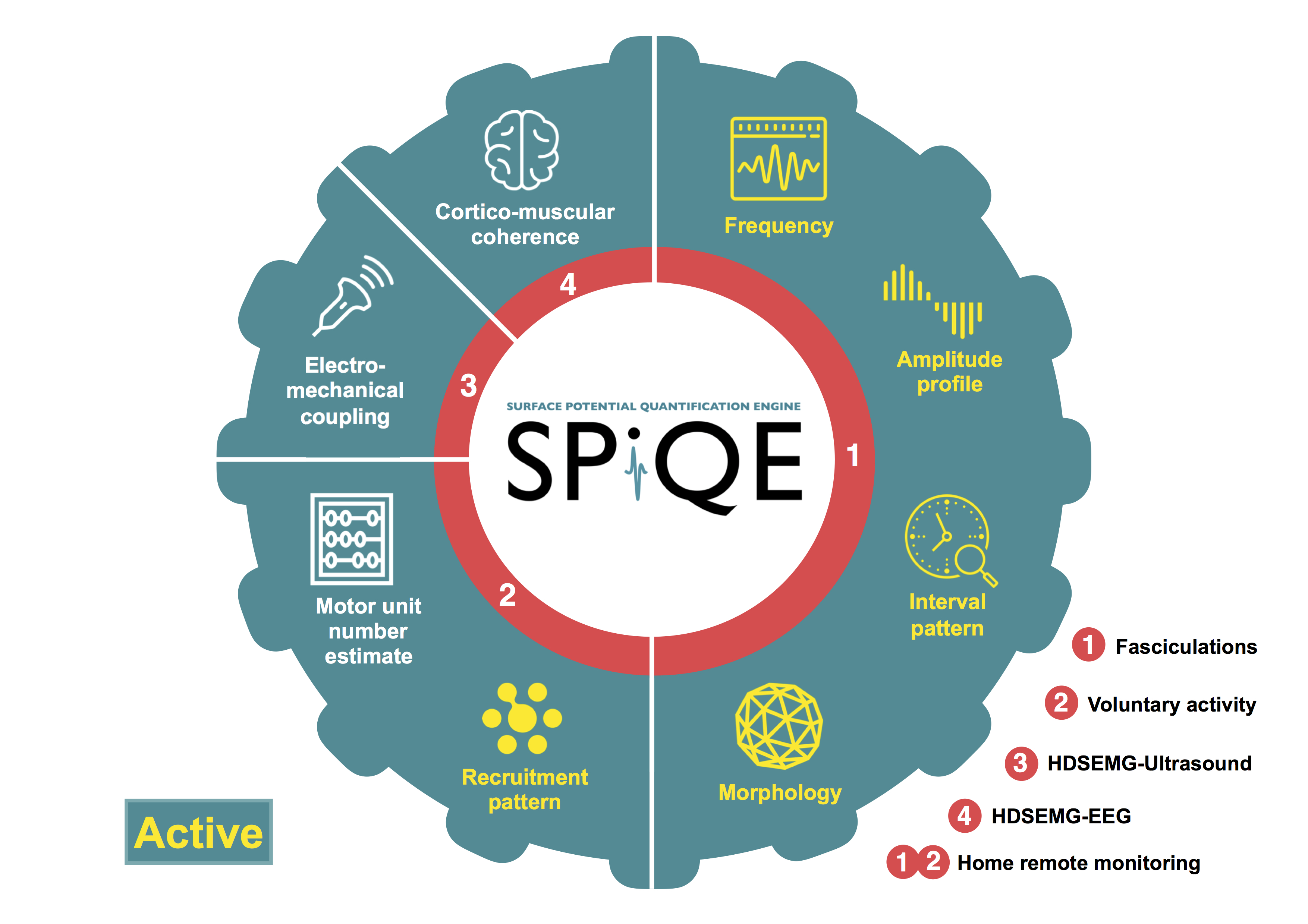 SPiQE-summary-7