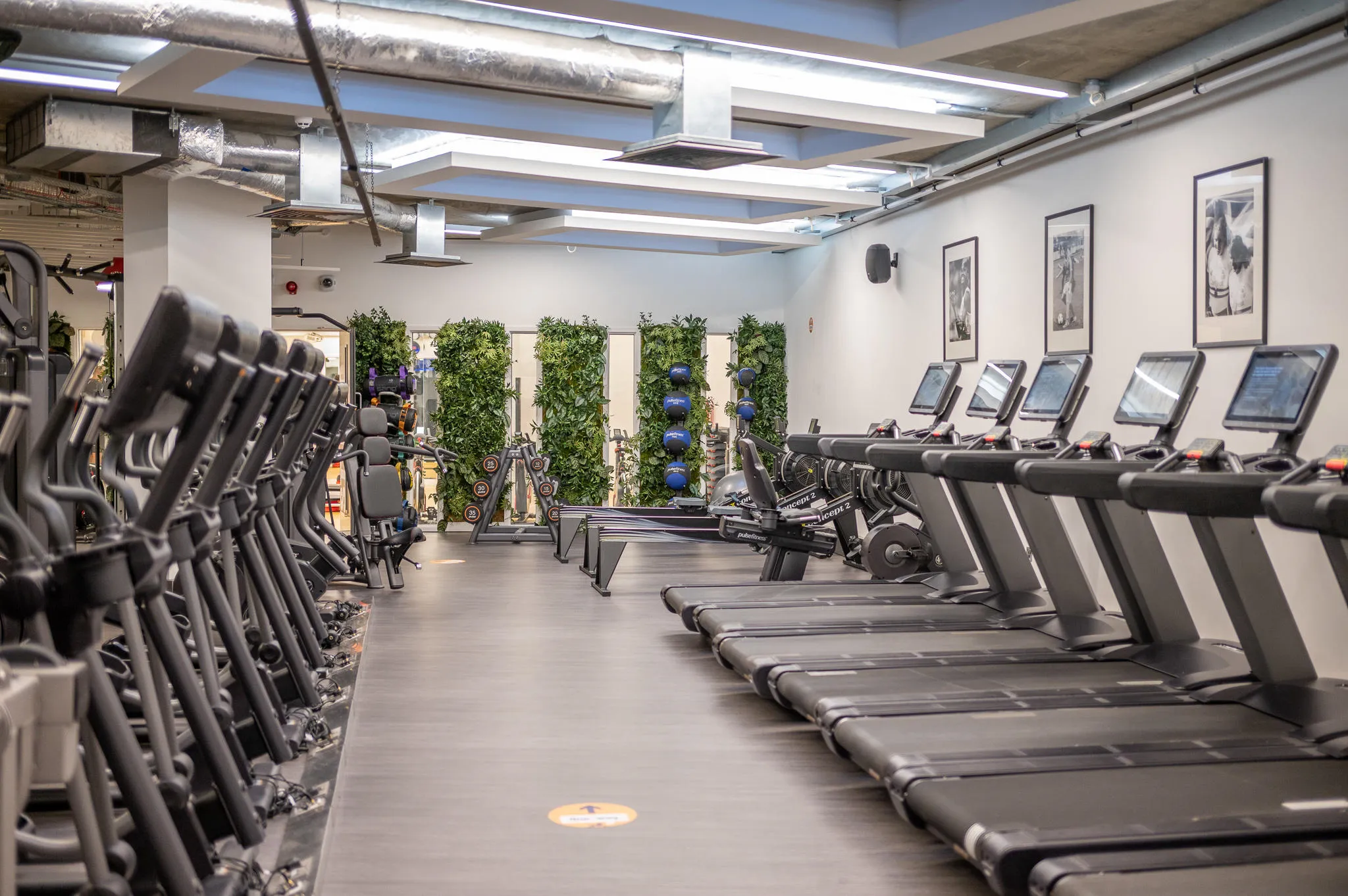 Main gym floor in London Bridge Gym, showing Rowing and Treadmill machines.