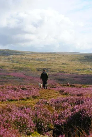 Grassington Moors Hunt