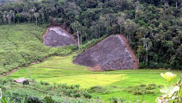 Political Ecology, Biodiversity & Ecosystem Services research group