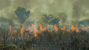 Leverhulme Centre for Wildfires, Environment and Society