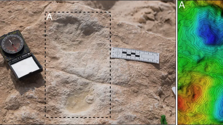 The first human footprint discovered at Alathar and its corresponding digital elevation model (DEM)
