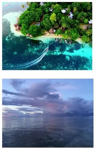 Contested development, Melanesia