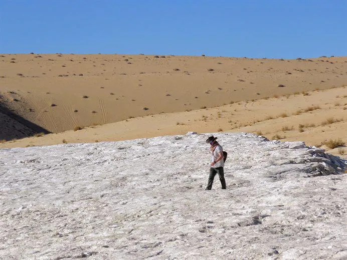 Paul Breeze surveying the Alathar ancient lake deposit for footprints. 
 
