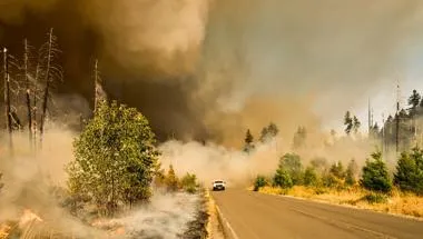 Wildfire next to a road with a car driving through