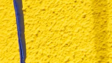 Bolsonaro Yellow Background