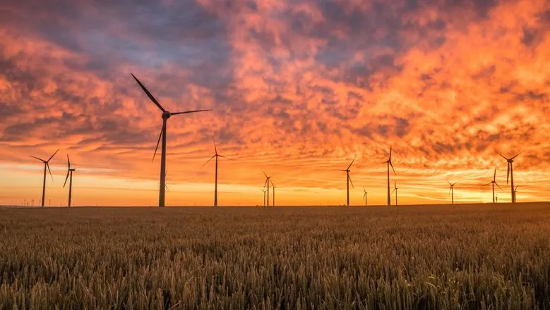 A windfarm is silhouetted against a red sky