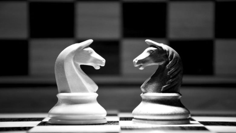 Illustration of horse chess pieces, black and white