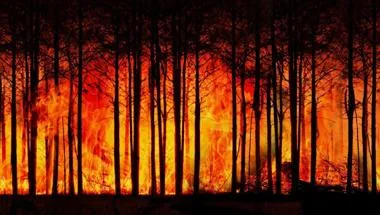 forest-fire-3836834_1280