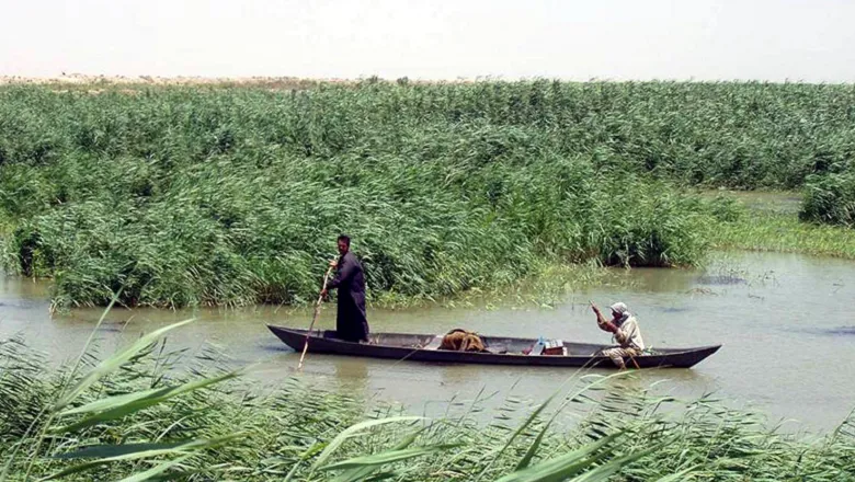 Iraq Marshes