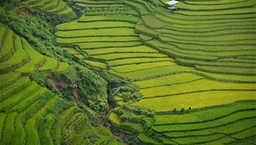 The Road to Vietnam with Dr Pablo de Orrelana