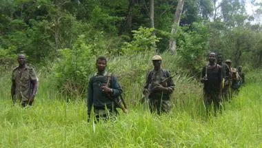 a group of armed men standing in the woods
