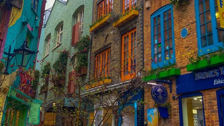 Neal's yard. Photo: Elissar Haidar on Unsplash