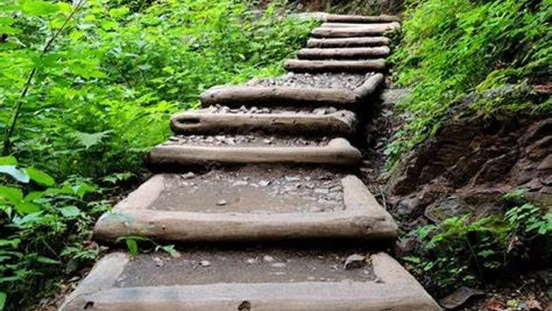 Wooden steps in a green landscape leading off up into the distance