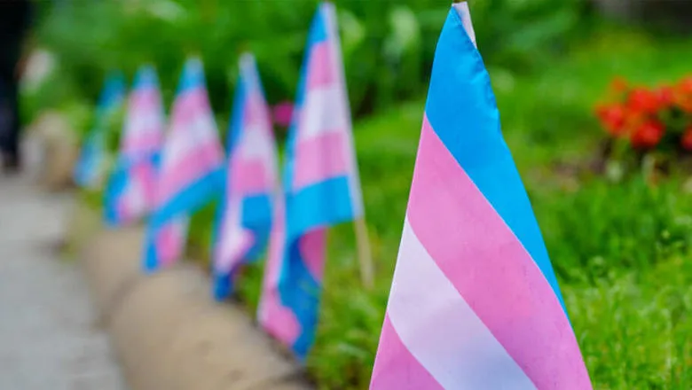 Blue pink and white flags in a park
