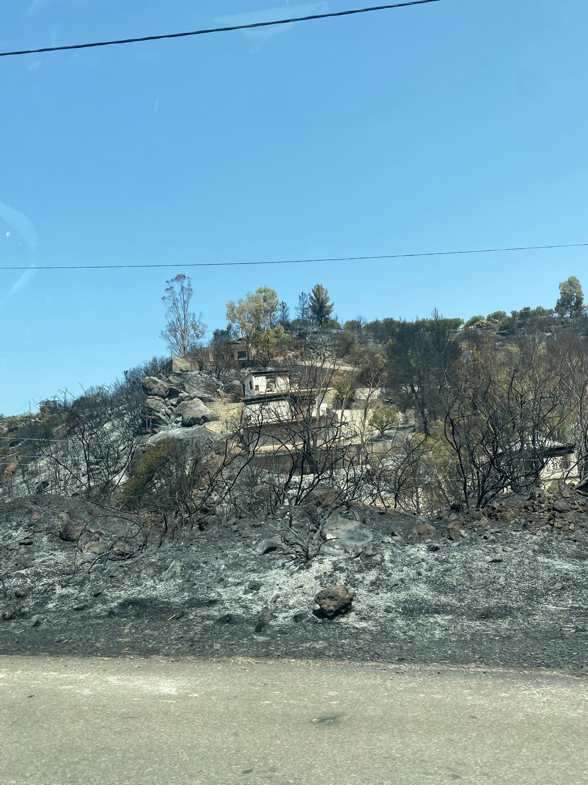 Wildfire damage in Greece
