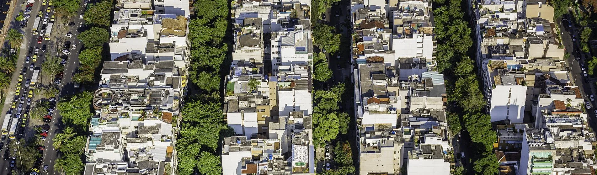 Urban development and trees