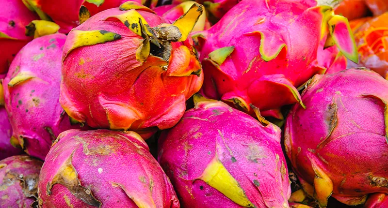 dragon fruit