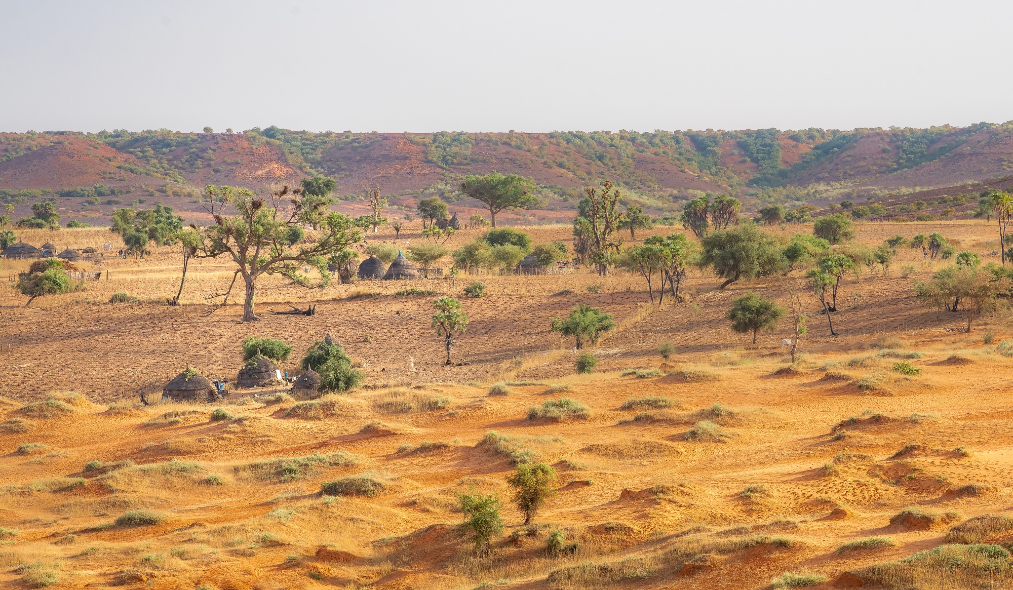 Sahel region