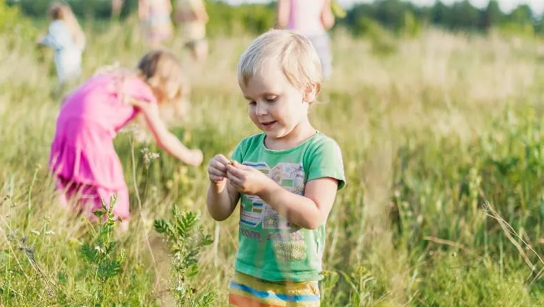 children playing in field - by vitolda klein - 780x440