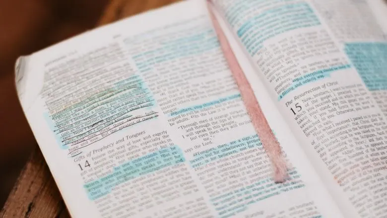highlighted text - by madeleine-ragsdale