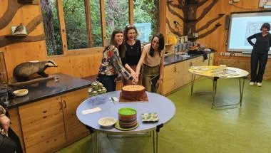 Heartwood Launch Cake