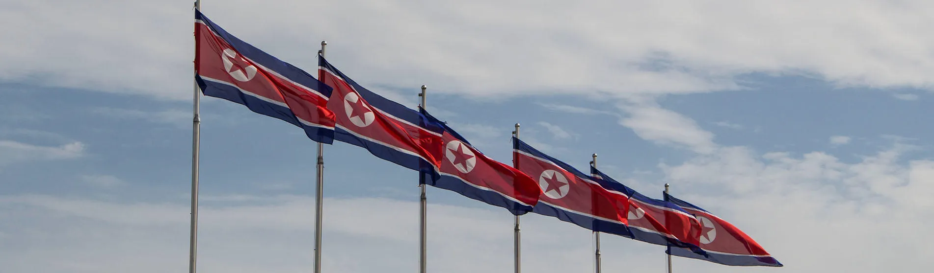 North Korean flags hero size
