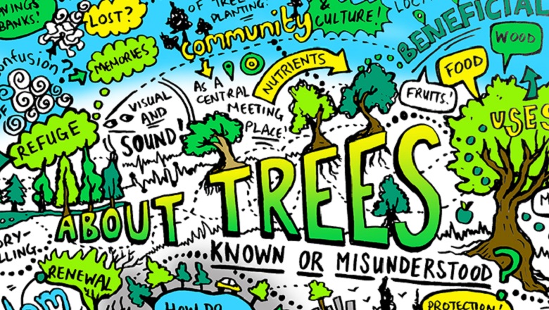 About Trees. Live sketch by Jenny Leonard