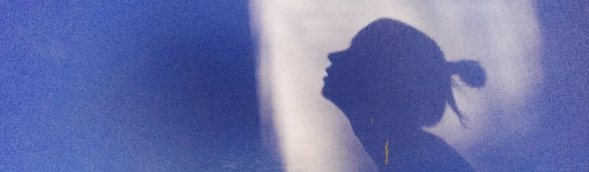 feminist perspectives_bodies between bullets_hero