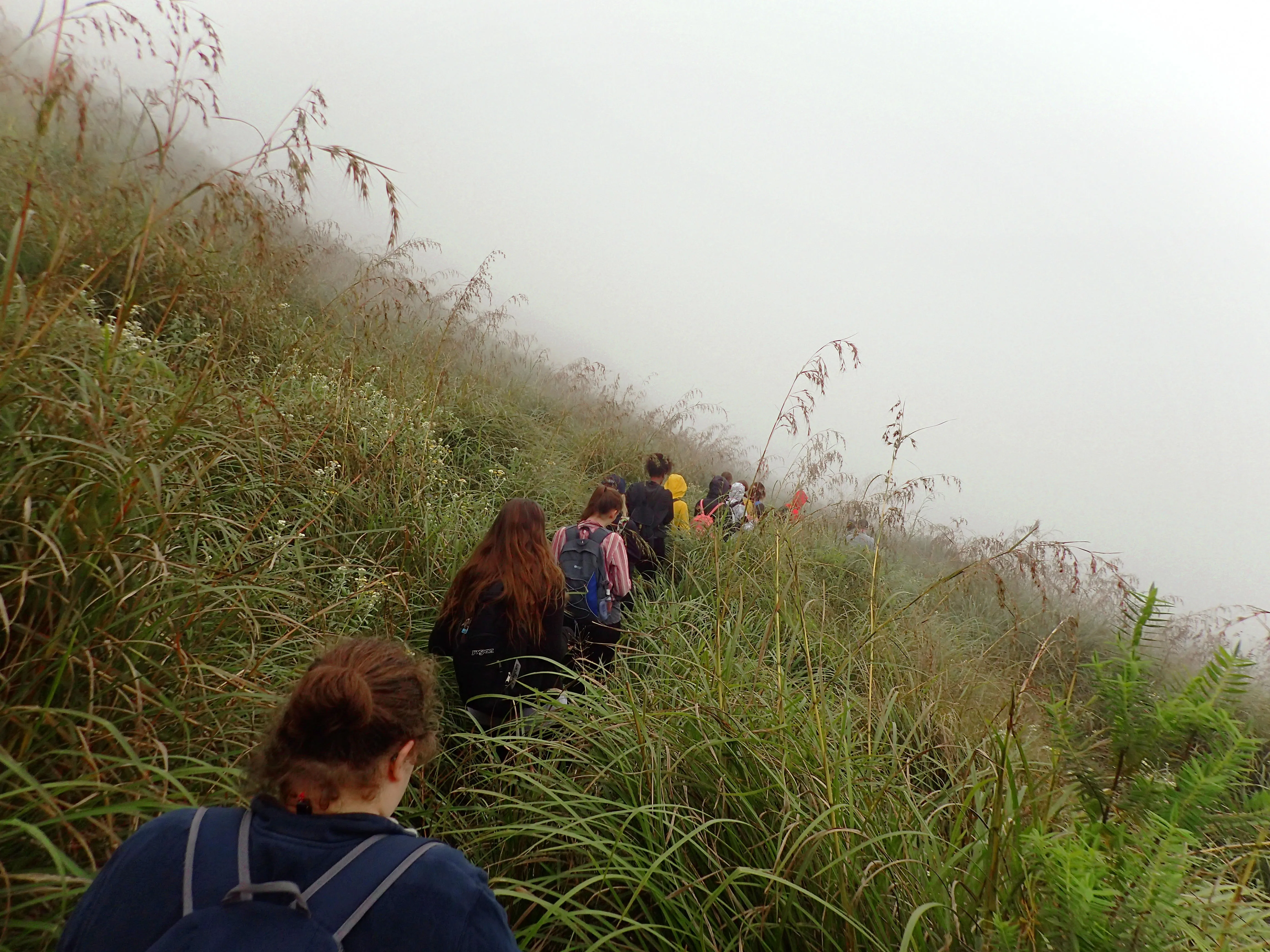 Alice Rigg Field Trip Line of Geographers