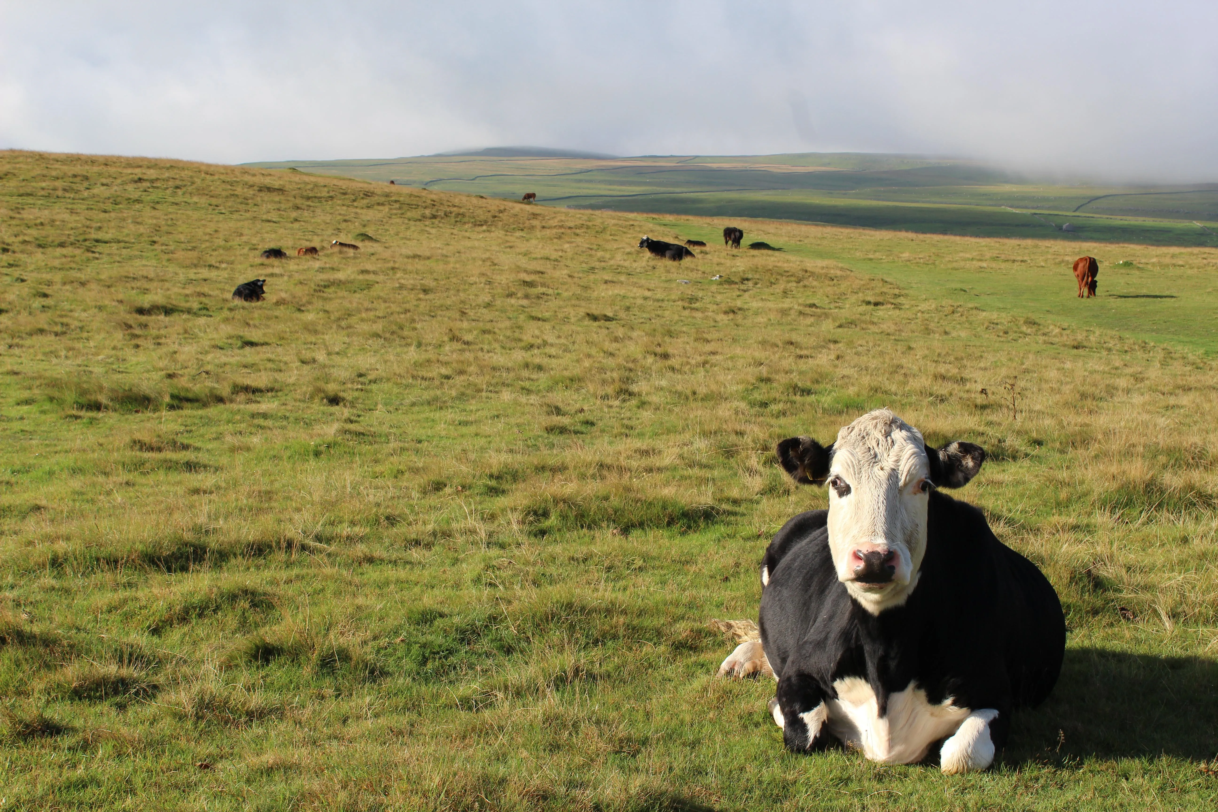 Malham, Yorkshire Randa Kachef