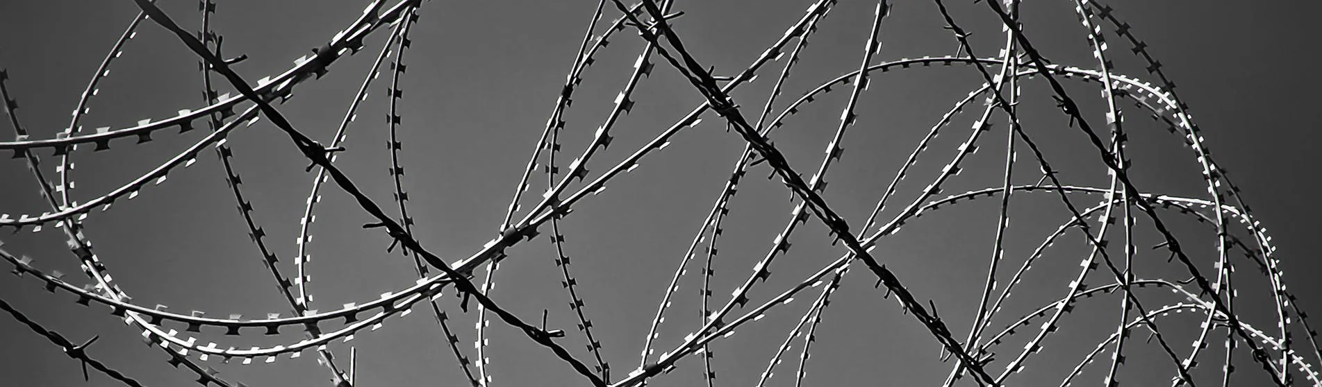 barbed-wire-hero