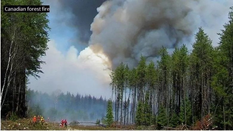 Canada forest fire