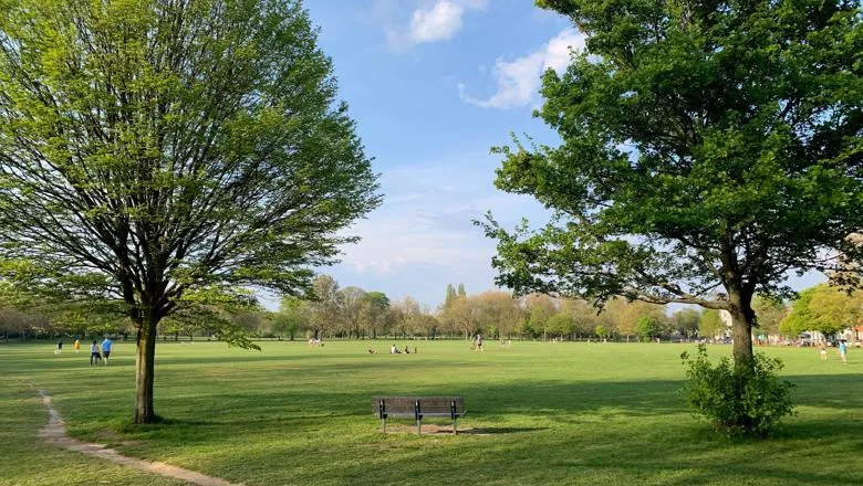 A bench between two trees, looking onto green space