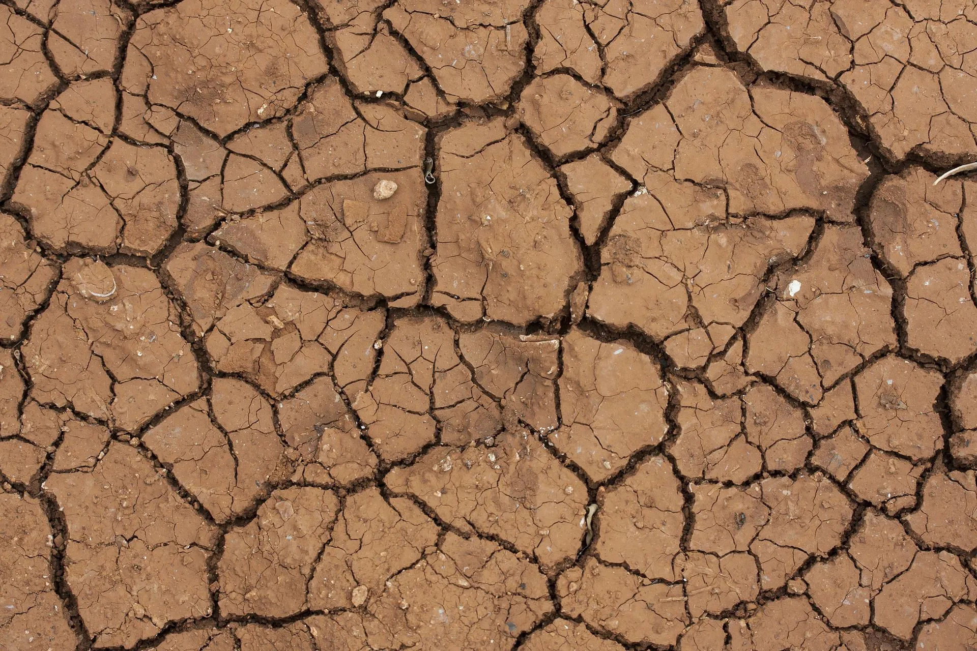 desert