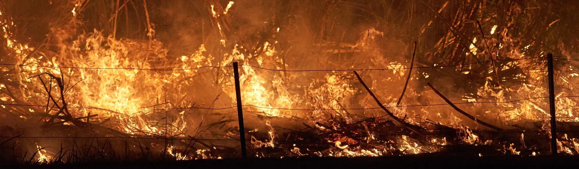 Sugarcane crop burning hero