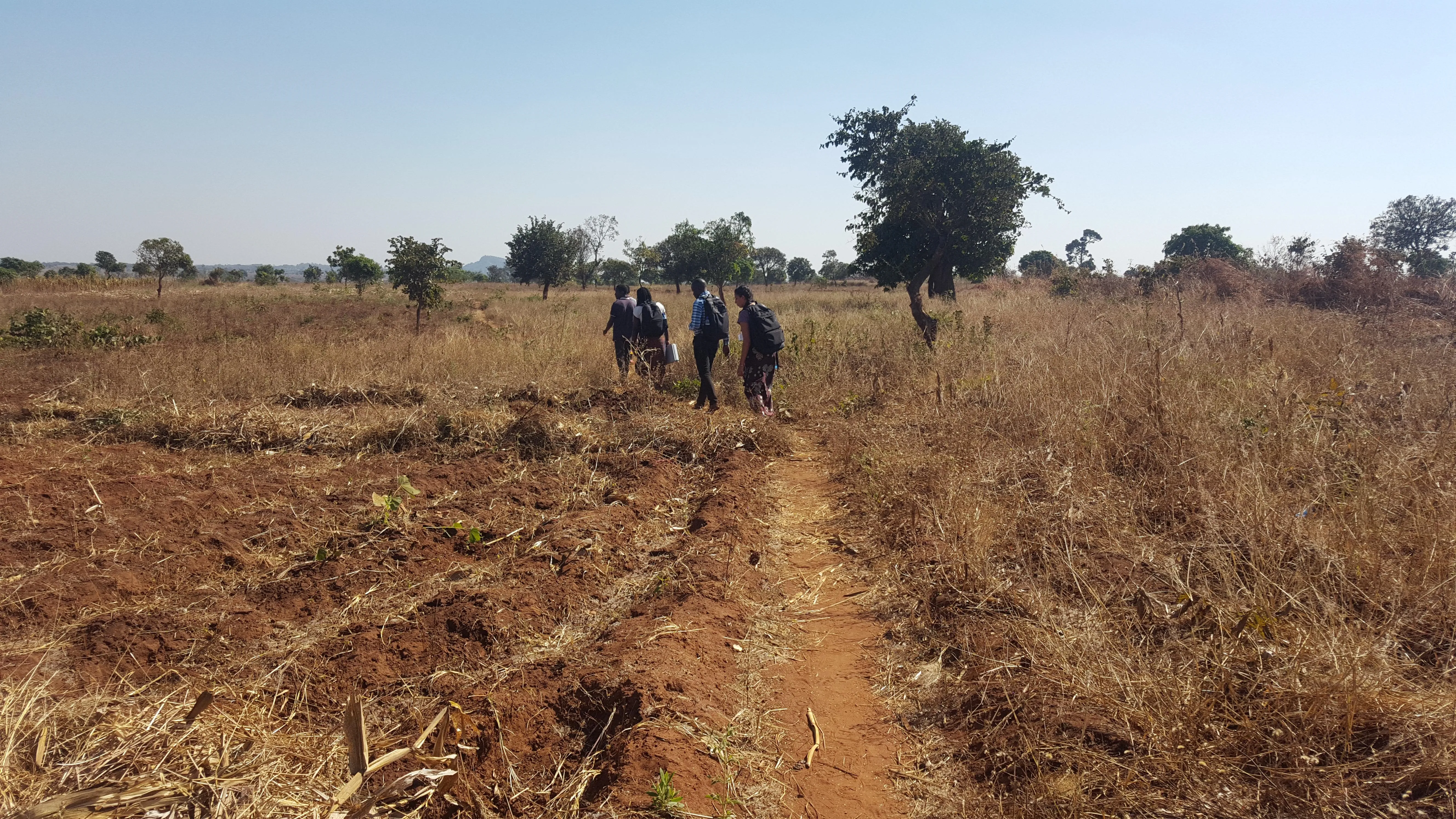 Transect walks in Chinsamba Village, Malawi. Credit Genevieve Agaba,University of Southampton
