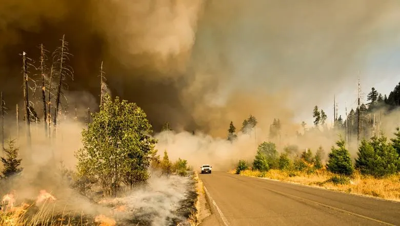 Wildfire Observation