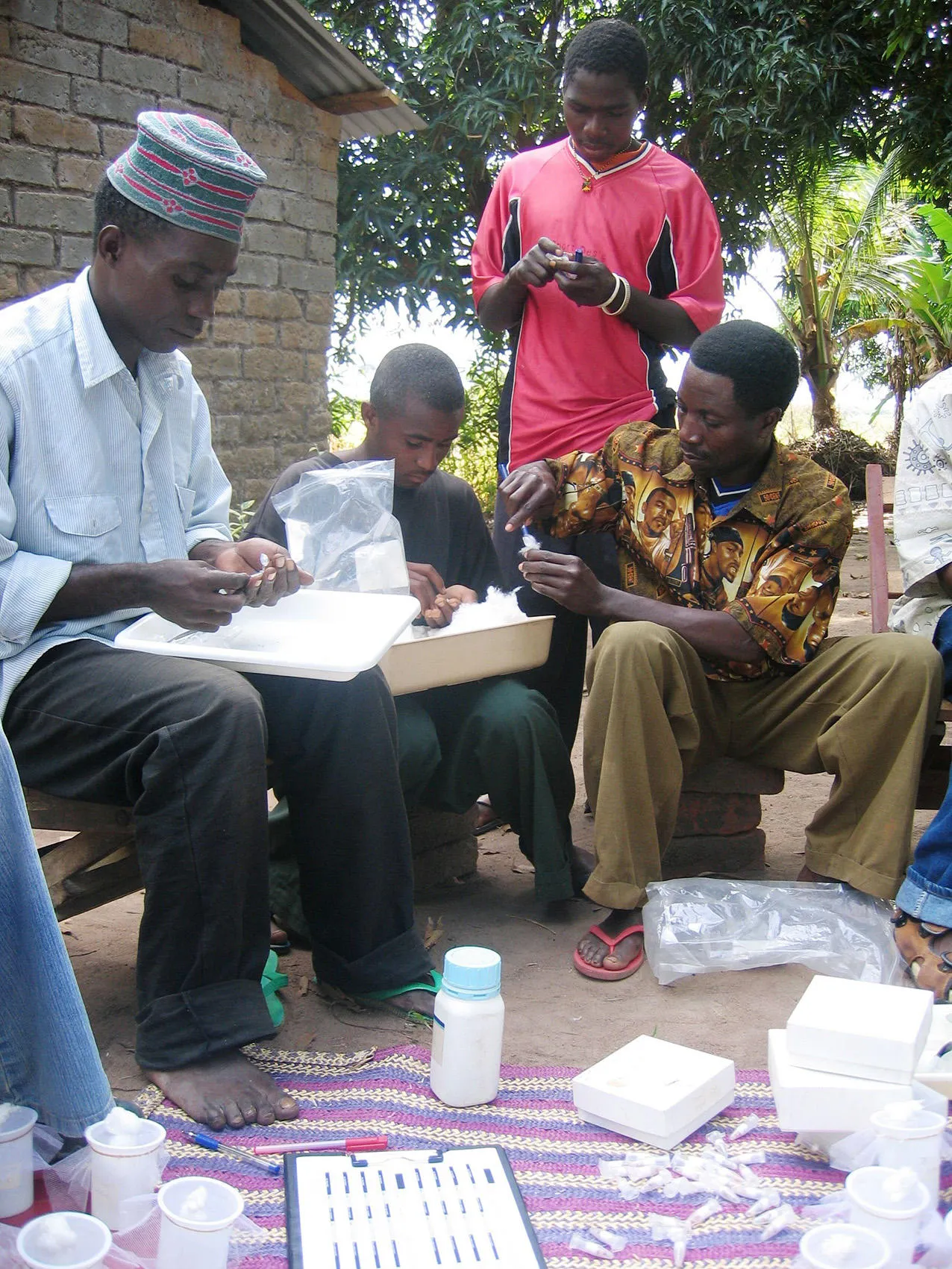 Morning mosquito count and classification, performed by local entomologists and residents of Lupiro, Tanzania