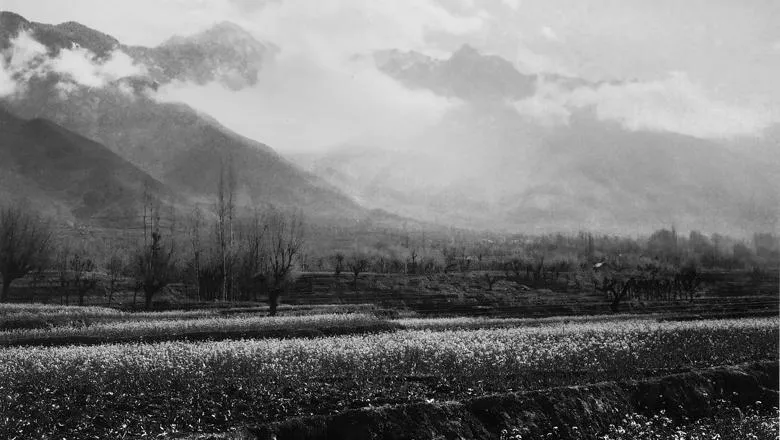 Spring in Kashmir Valley