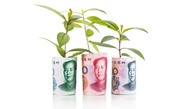Chinese yuan surrounding green plants