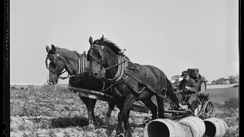 TP1_Horse-drawn_potato_digger_from_Library_of_Congress