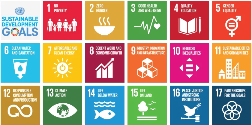 The UN's 17 Sustainable Development Goals