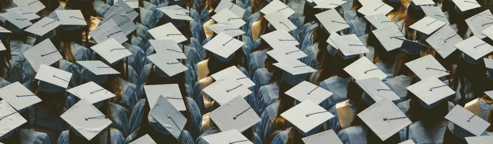 highereducation