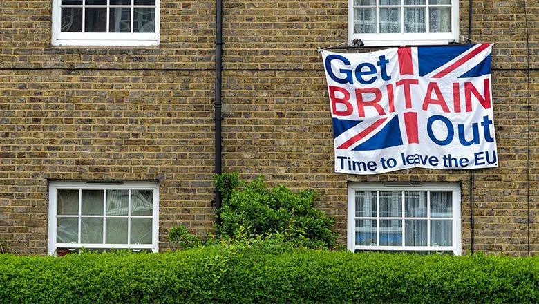 Pro-Brexit banner