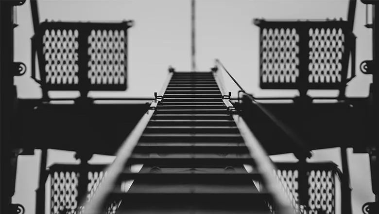 ladder